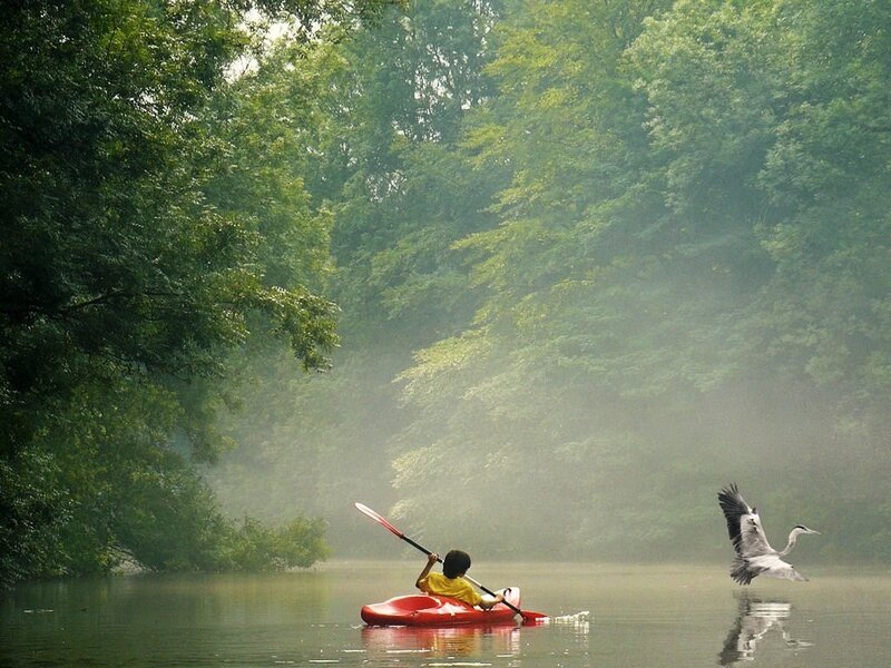 Kayaker and heron on a misty river