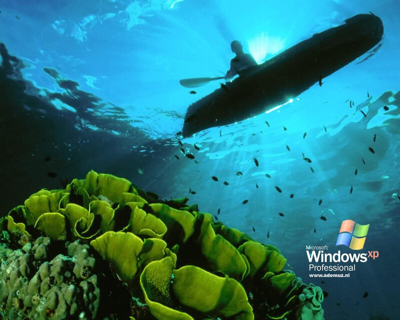 Kayaker in Coral Reef