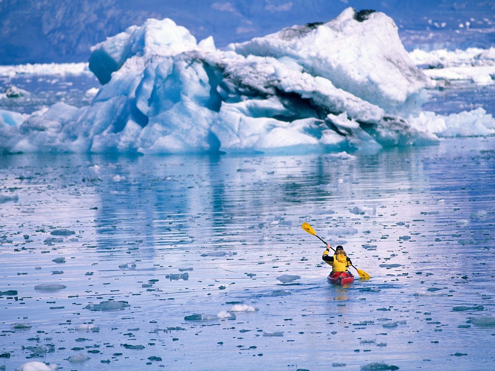 kayaker near icebergs