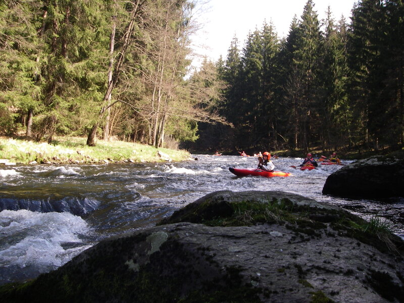 Kayakers on a forest river