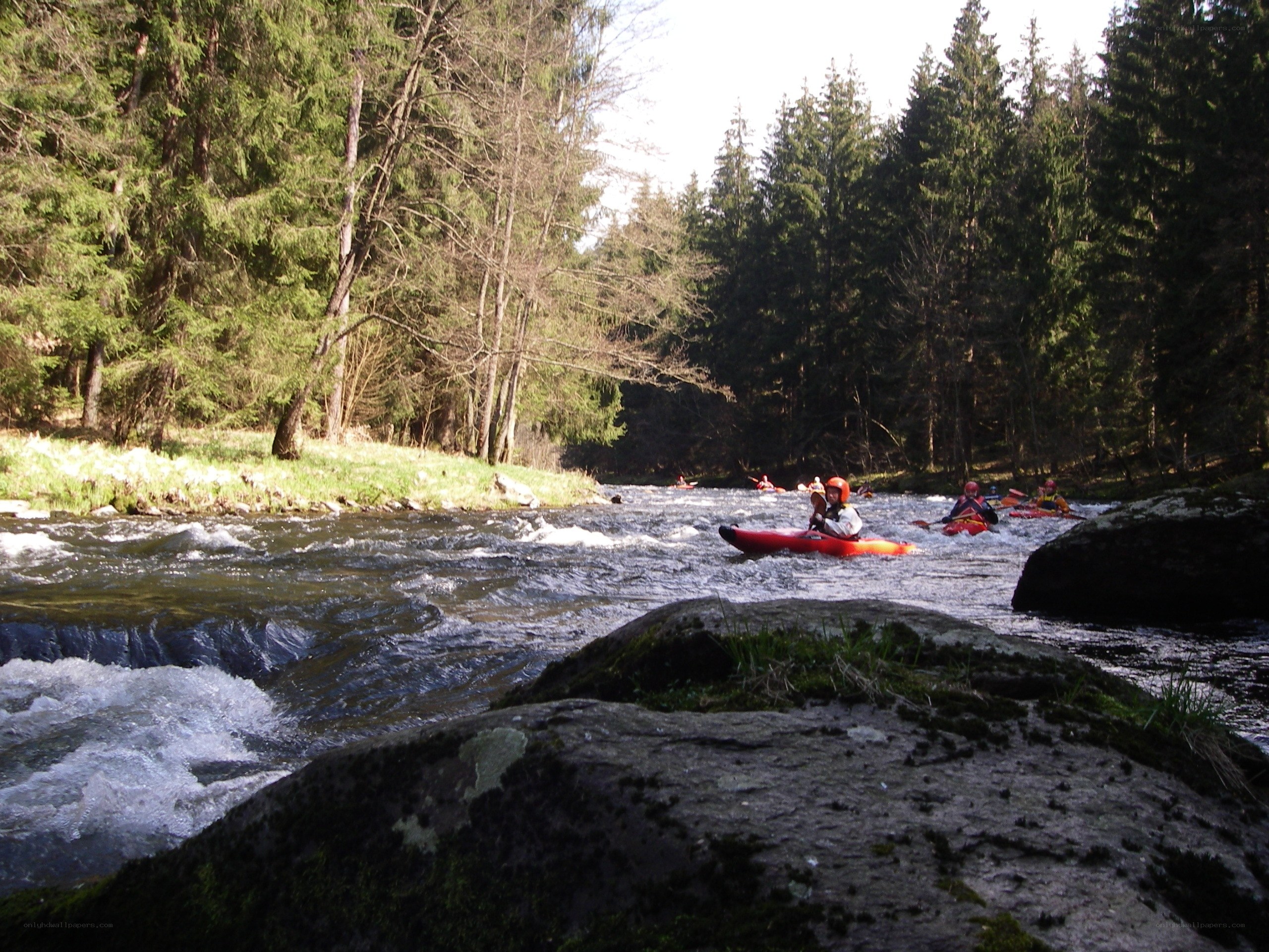 Kayakers on a forest river