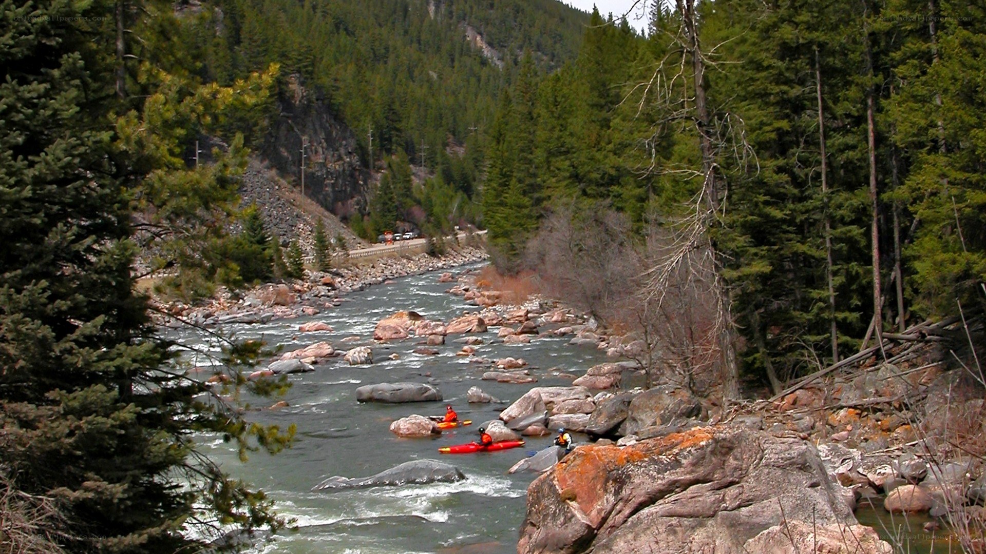 Kayakers on a rocky river