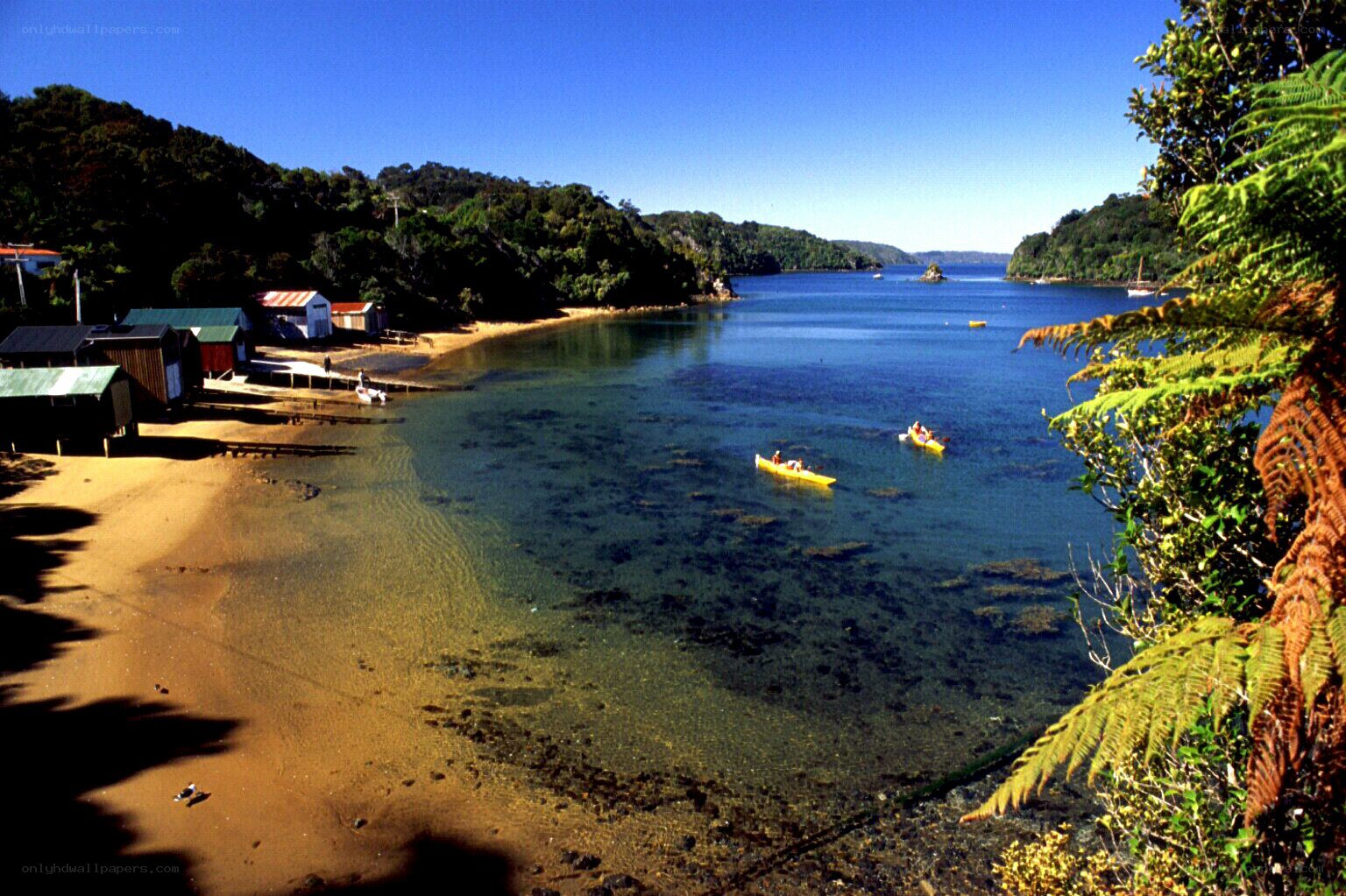 kayaking in a coastal bay
