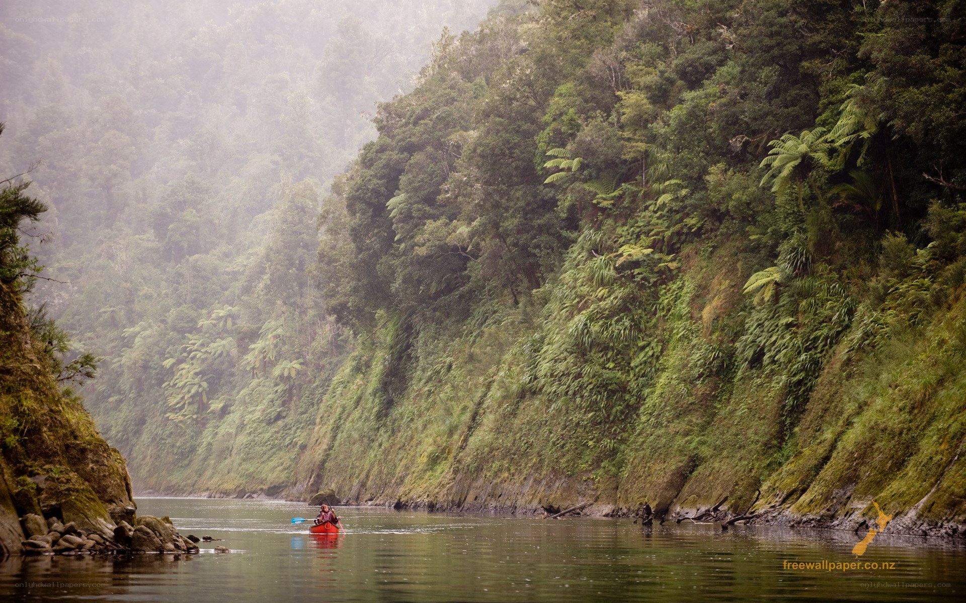 Kayaking in a misty forest river