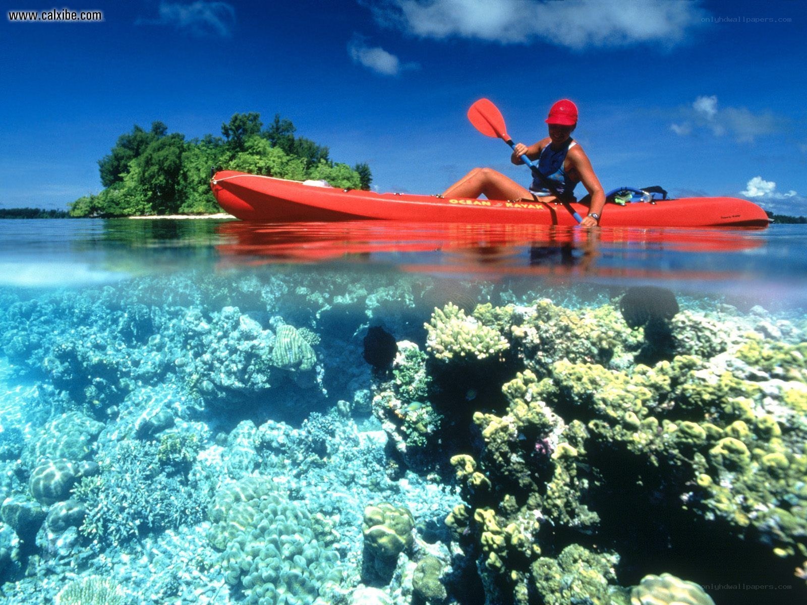 kayaking over coral reef