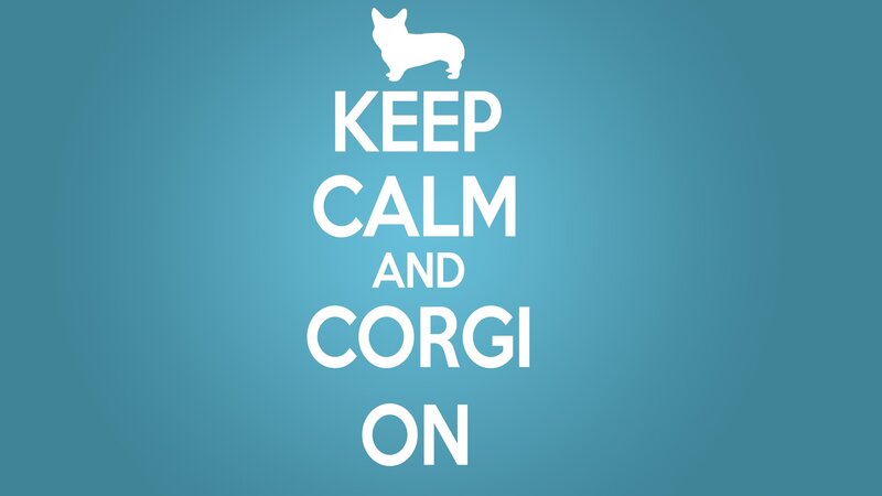 Keep calm and corgi on