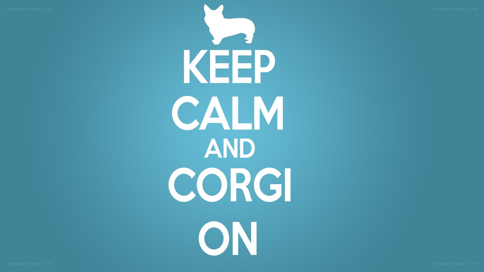 Keep calm and corgi on