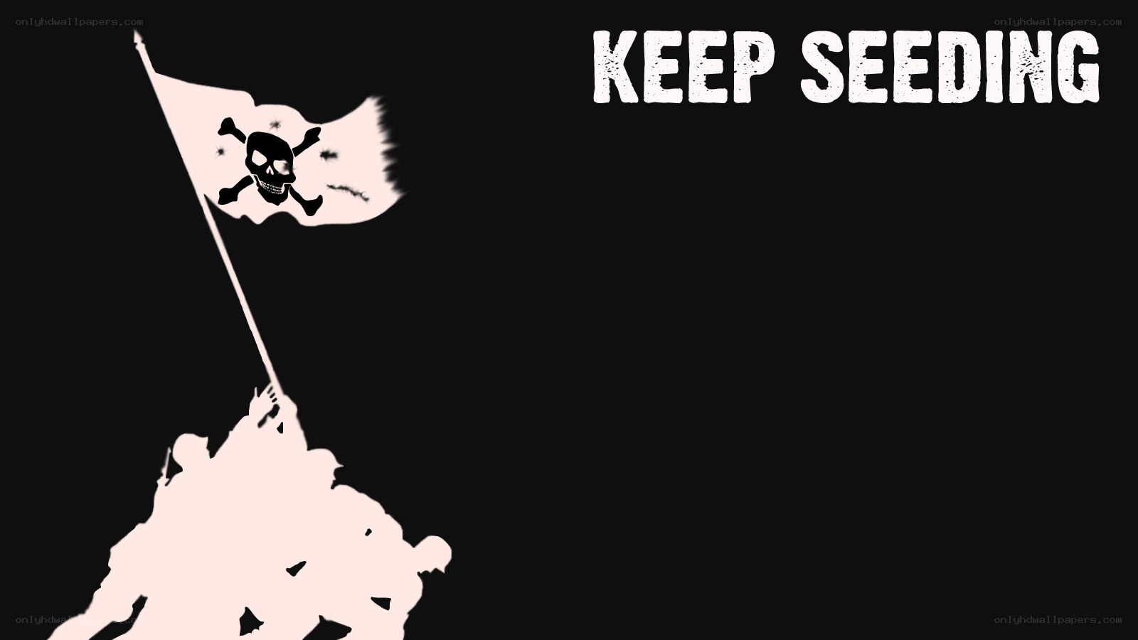 Keep Seeding Pirate Flag
