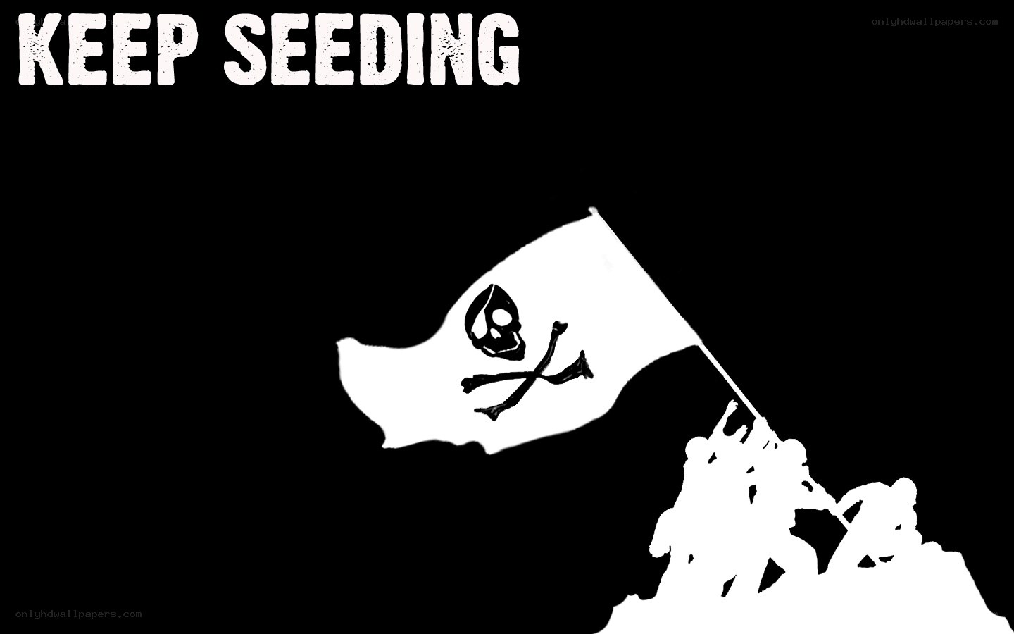 Keep Seeding Pirate Flag