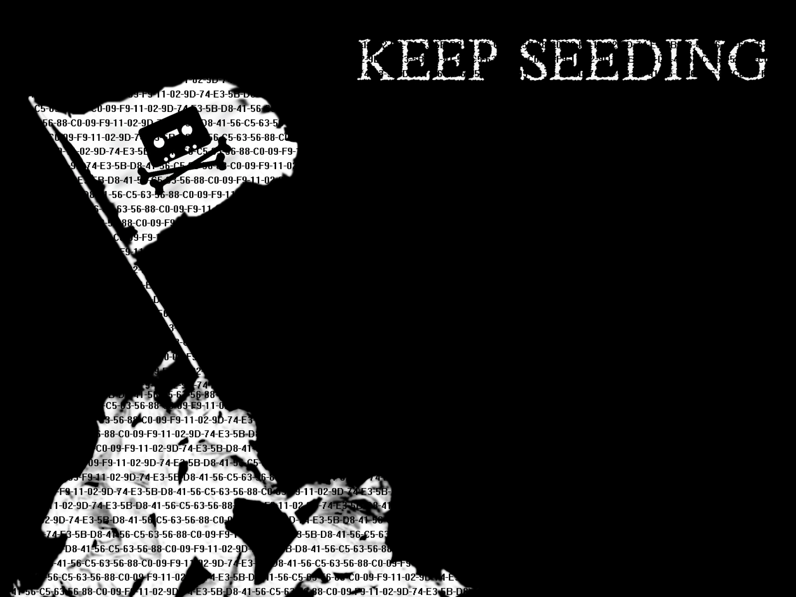 Keep Seeding text with code