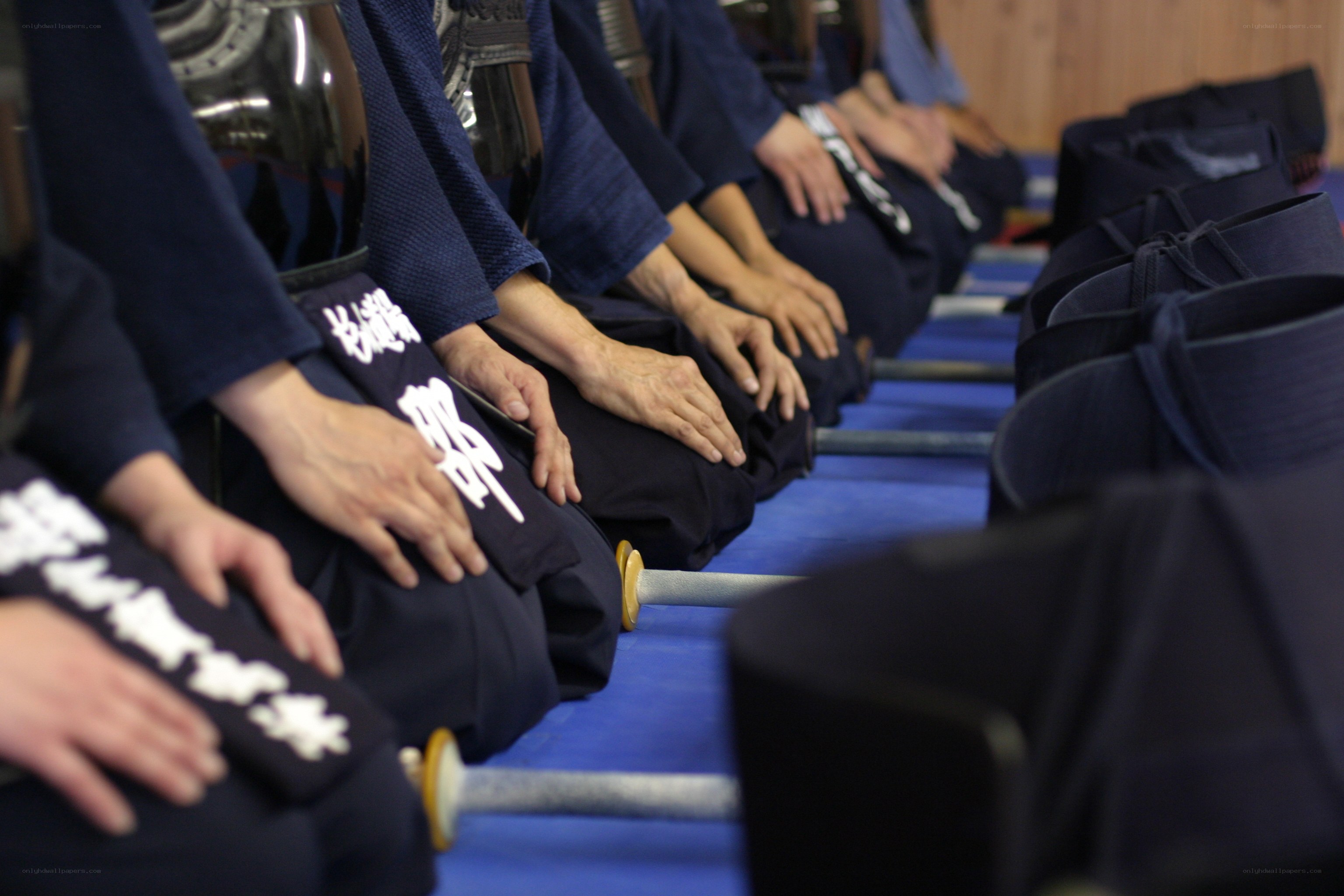 Kendo practitioners in a line