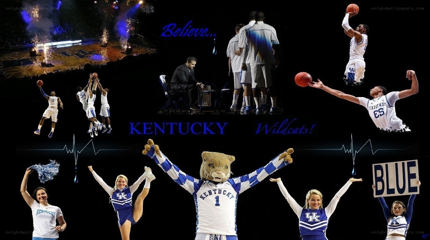 Kentucky Wildcats collage