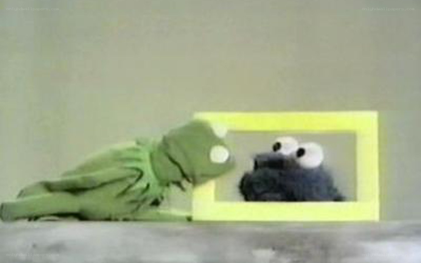 Kermit and Cookie Monster in a frame