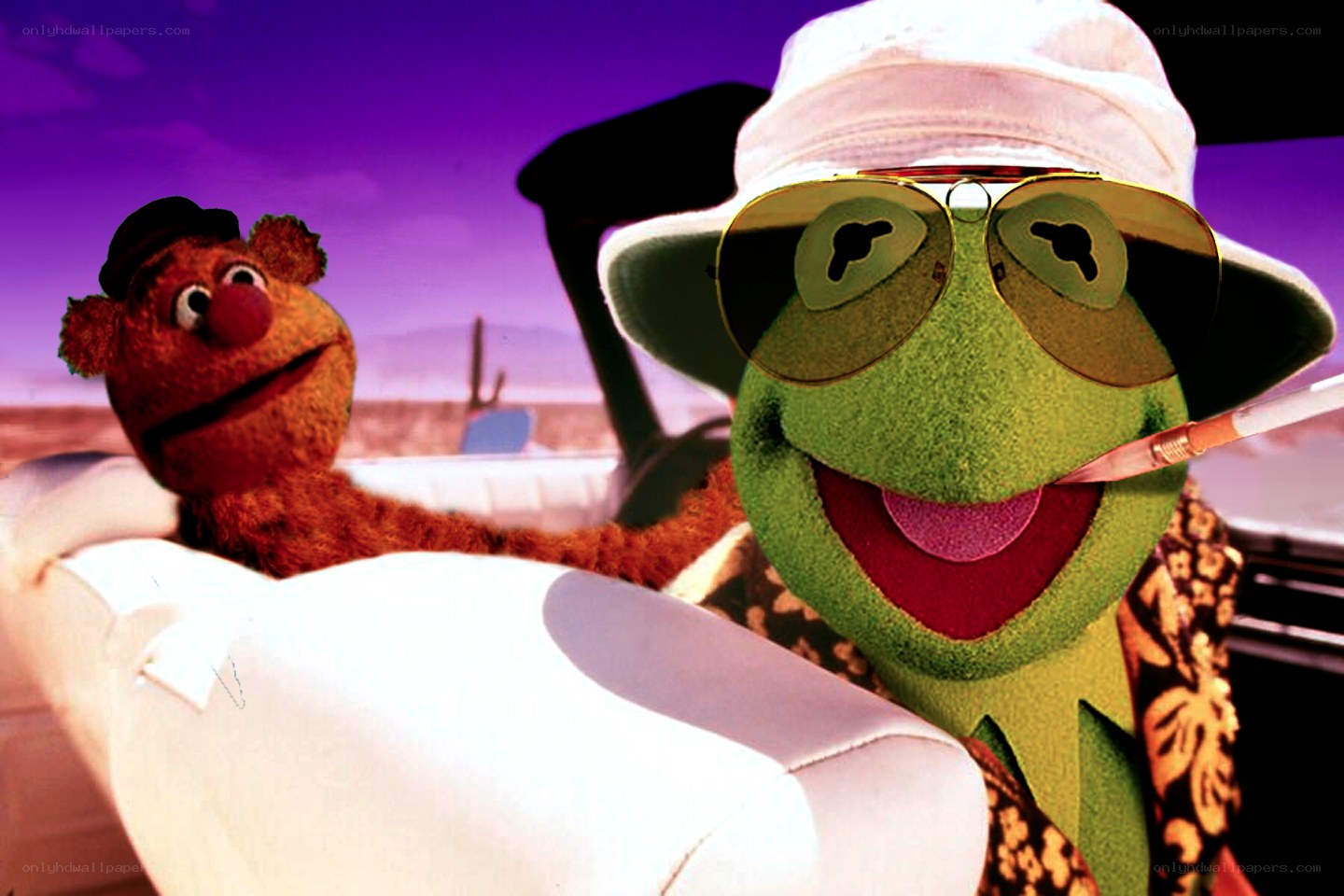 Kermit and Fozzie in a car