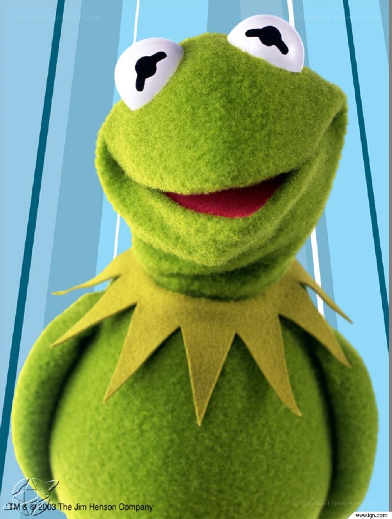 Kermit the Frog character