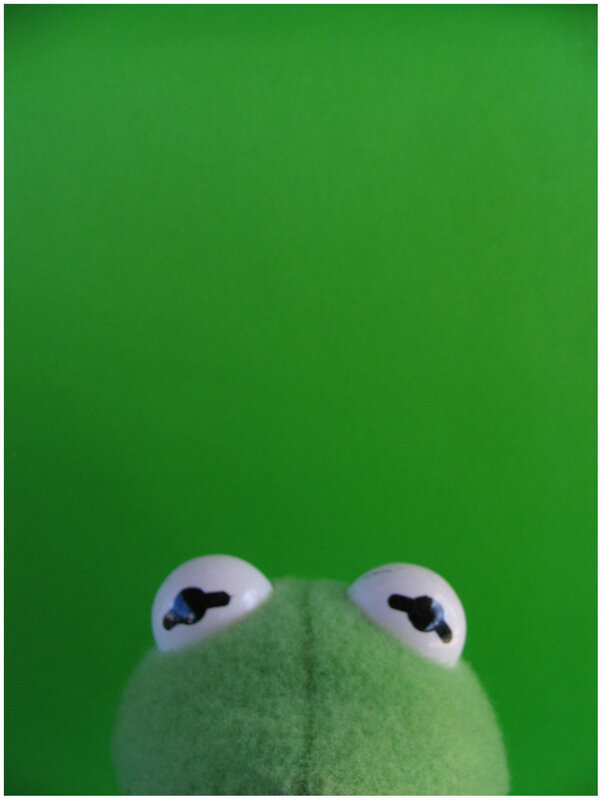 Kermit the Frog eyes