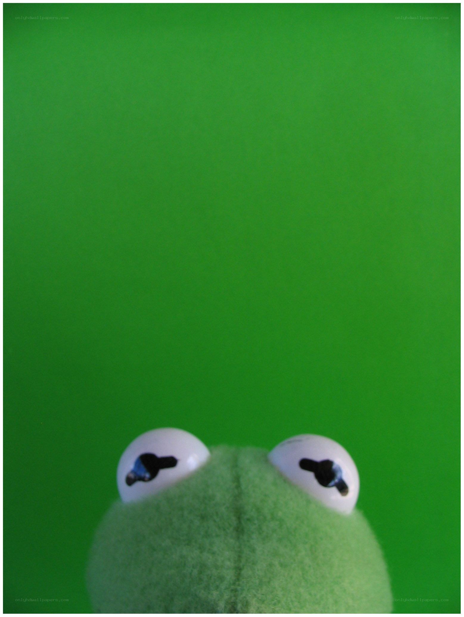 Kermit the Frog eyes
