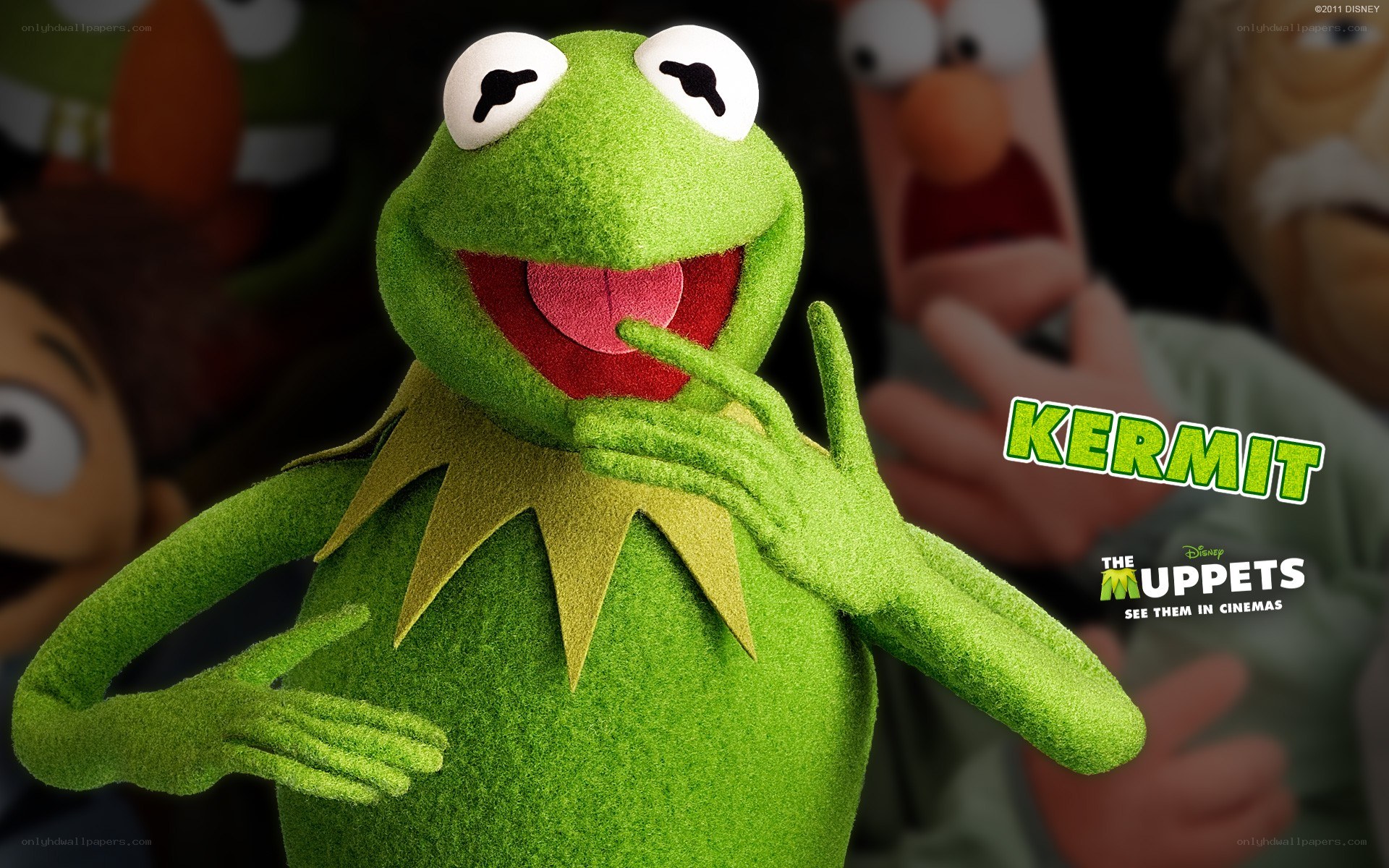 Kermit the Frog from The Muppets