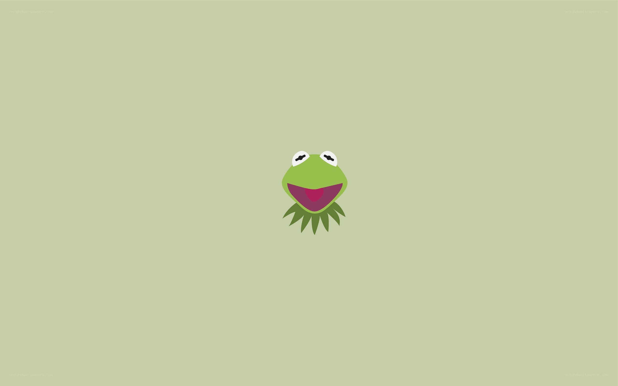 Kermit the Frog head