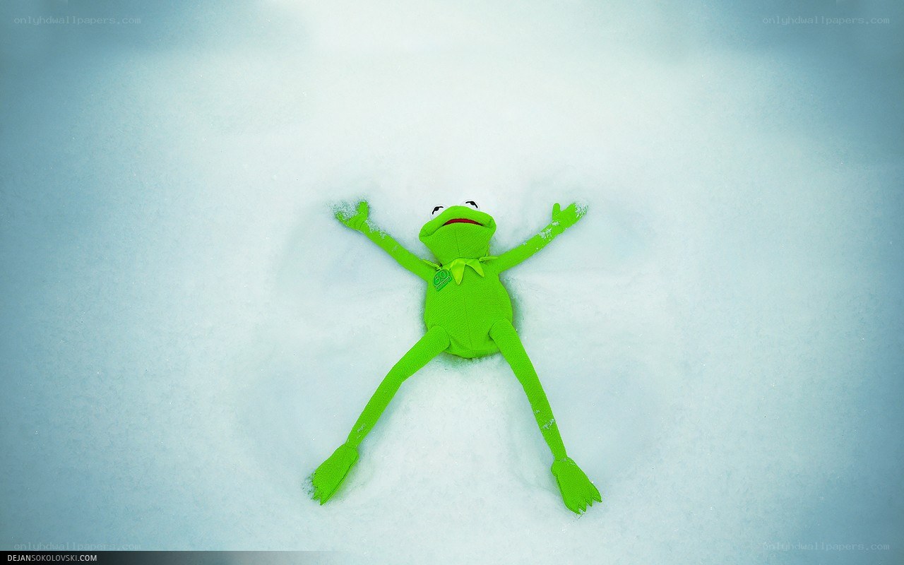 Kermit the Frog in snow