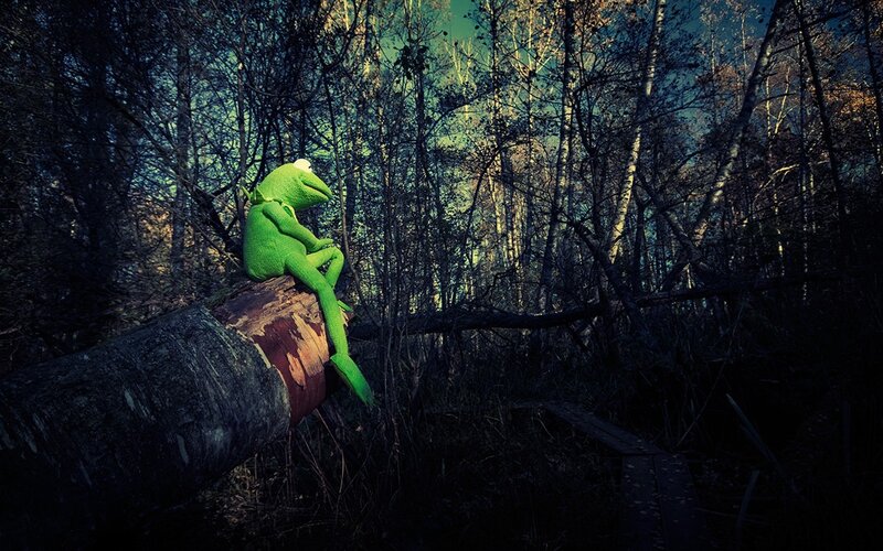 Kermit the Frog on Log