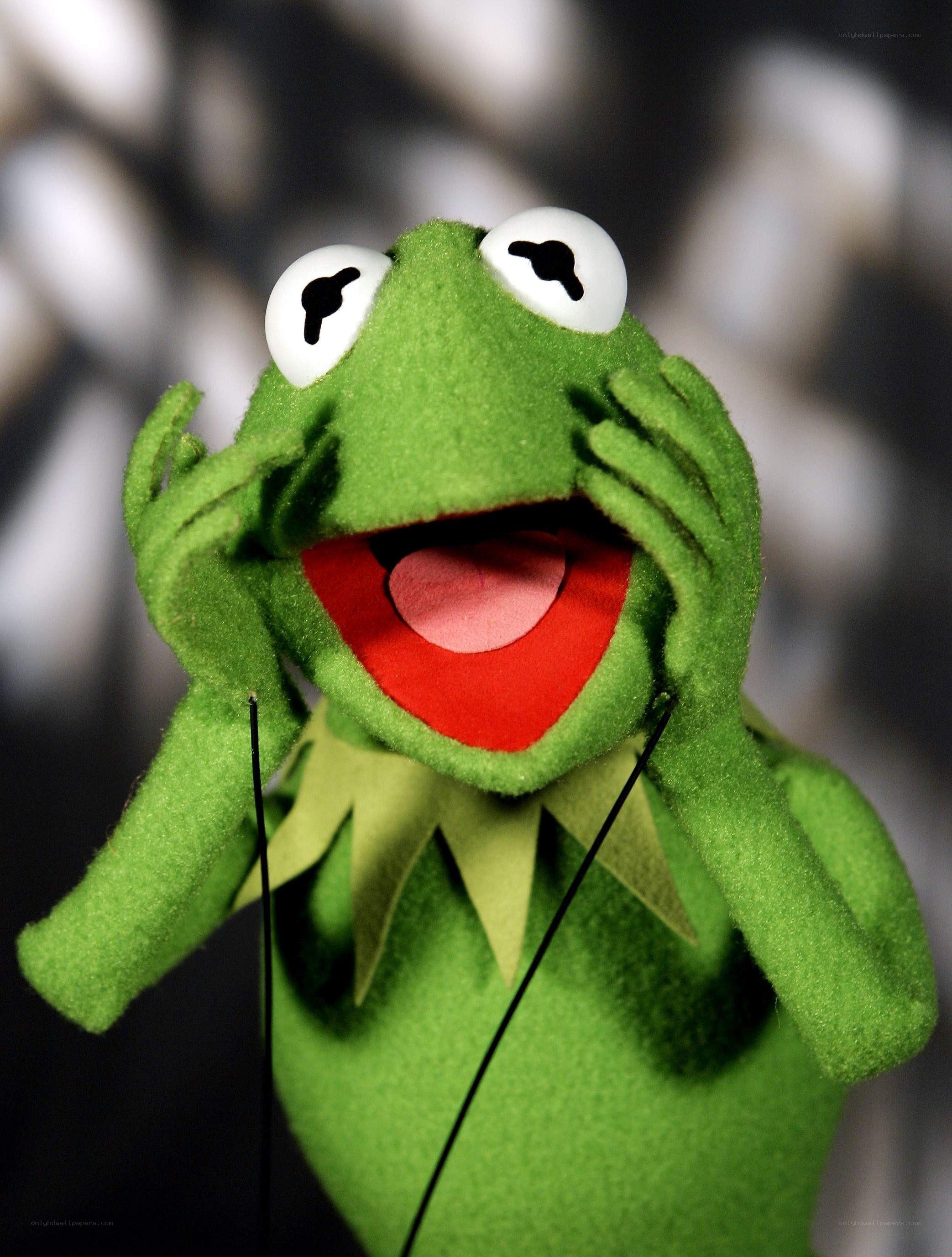 Kermit the Frog puppet