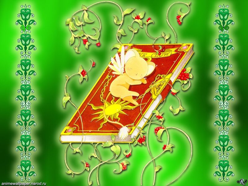 Kero sleeping on a book
