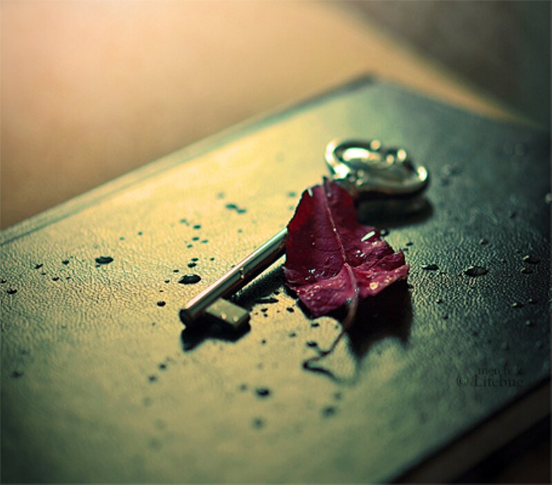Key and Leaf on Book