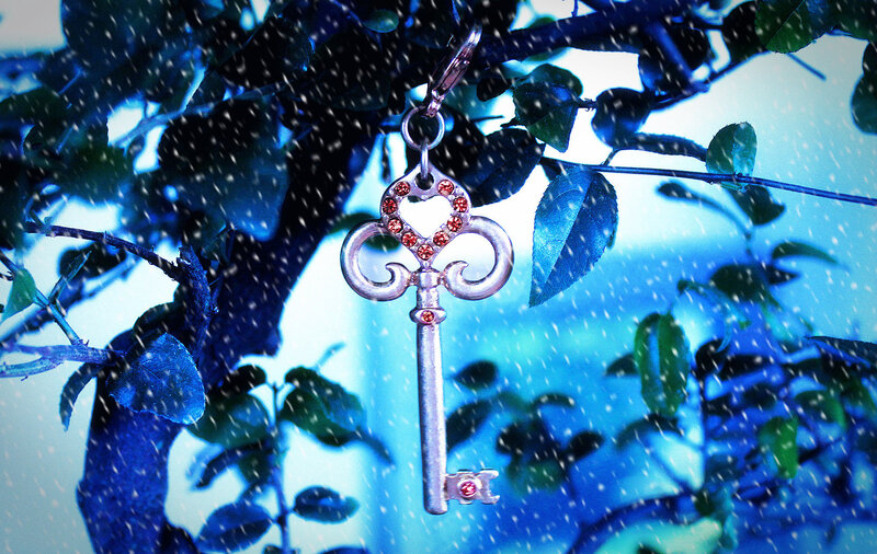 Key Charm on Branch