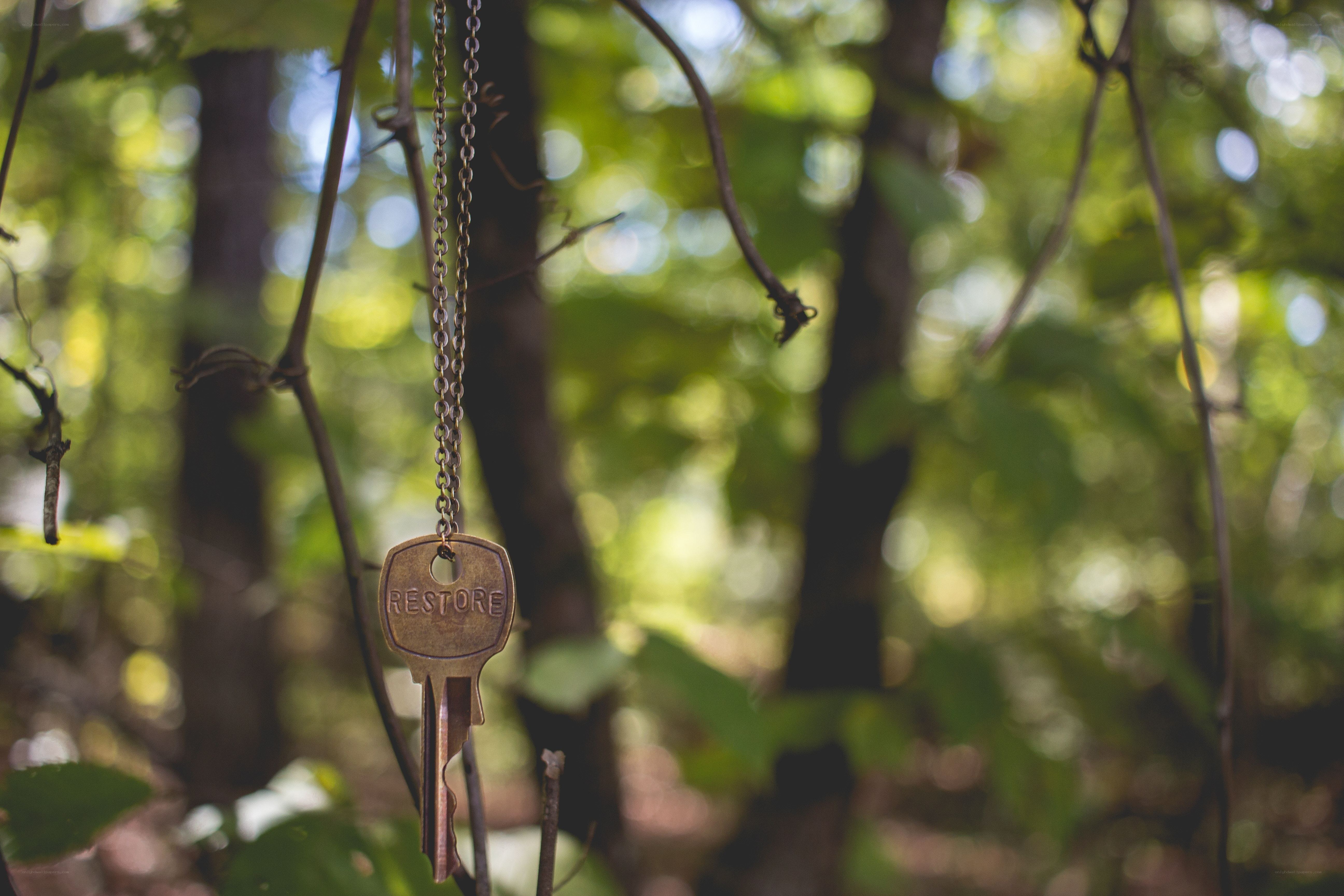 Key with 'RESTORE' inscription