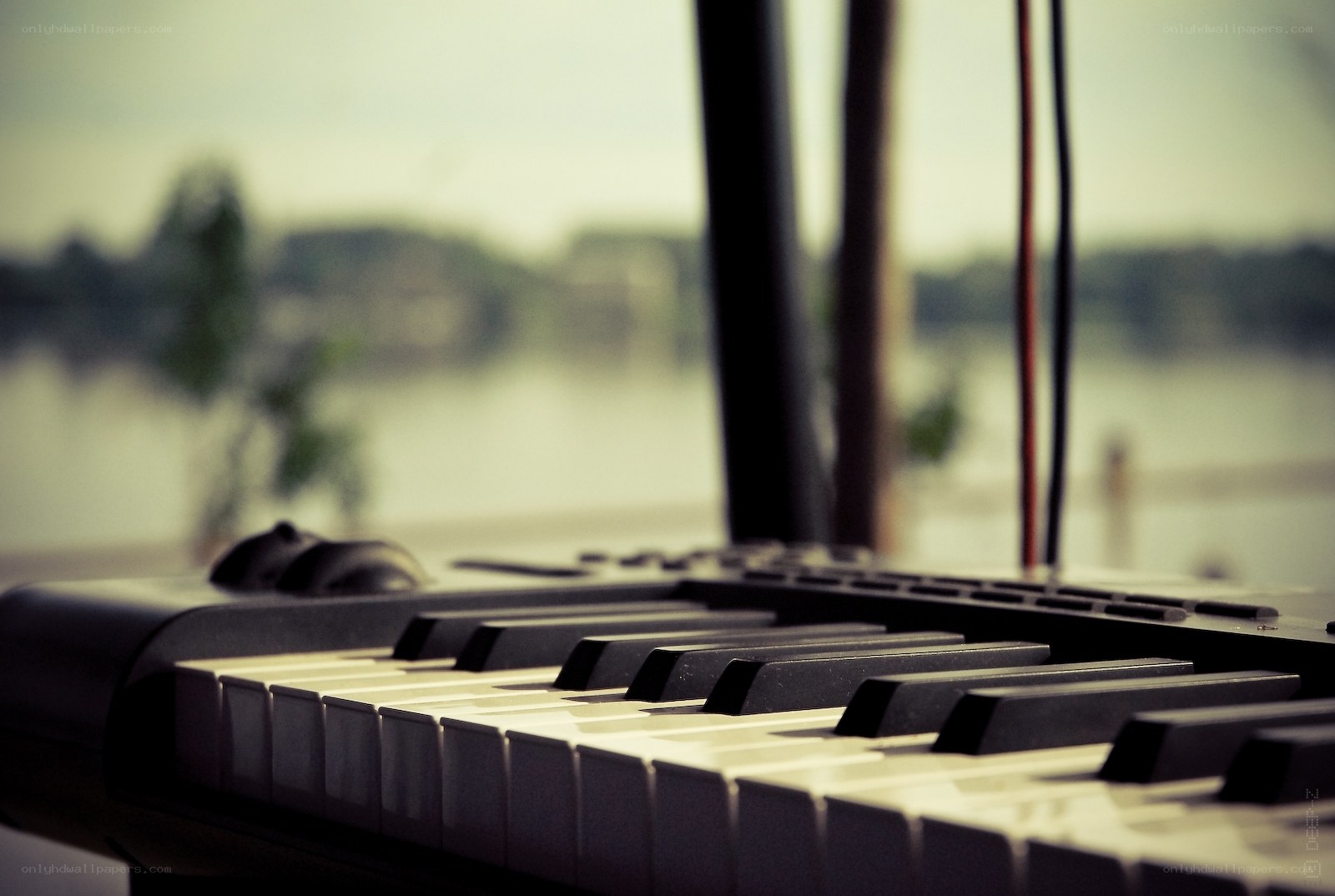 keyboard by the window