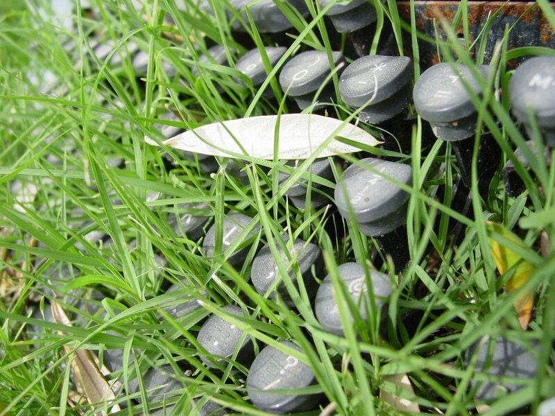 Keyboard Keys in Grass — Green