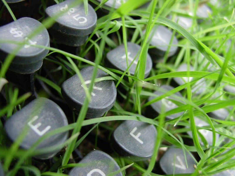 keyboard keys in grass