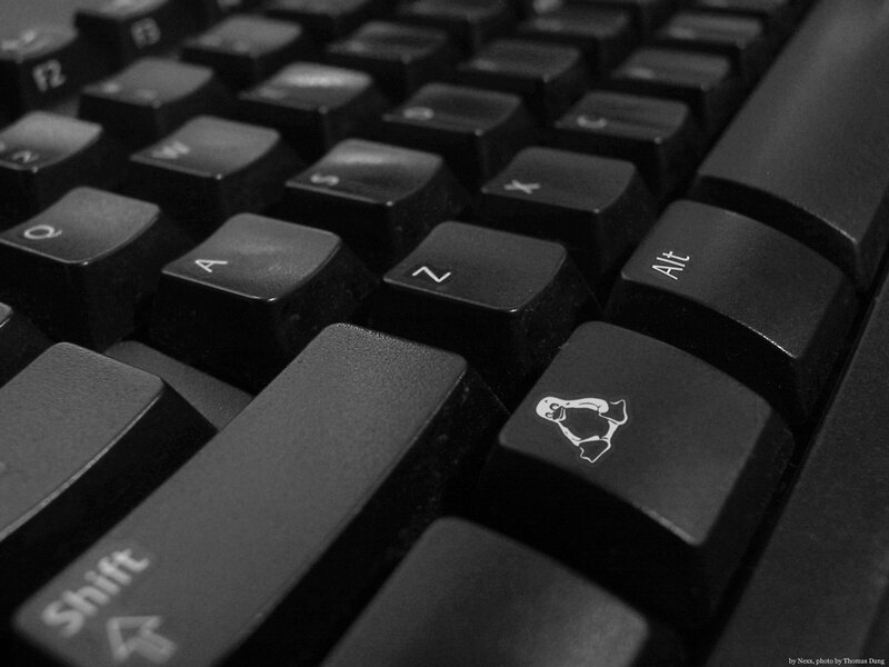 Keyboard with Penguin Key