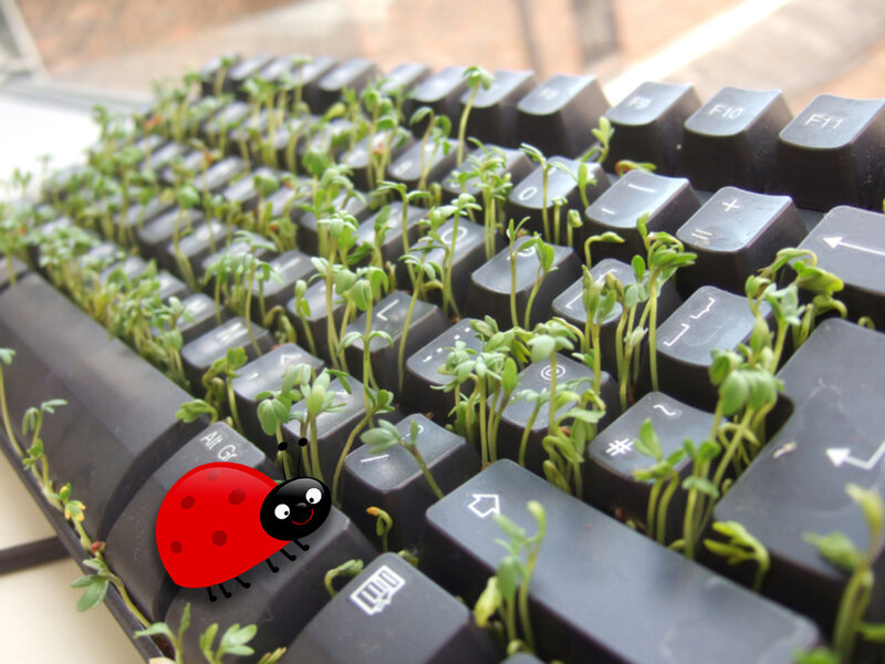 keyboard with sprouts and ladybug