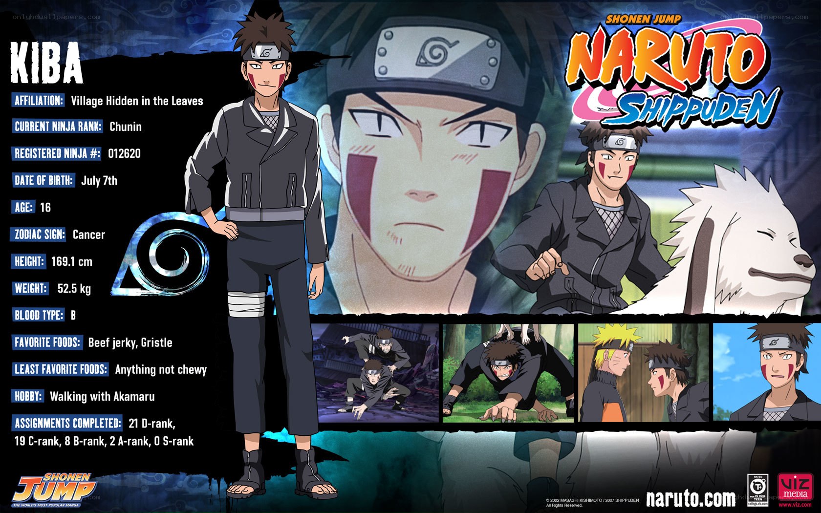 Kiba character profile from Naruto