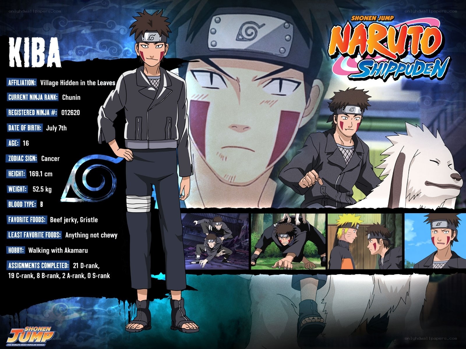 Kiba Inuzuka character profile
