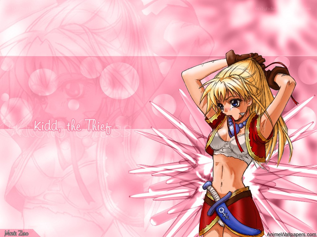 Kidd the Thief anime wallpaper