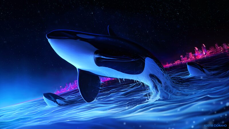 Killer Whale Breaching — Blue, Dramatic