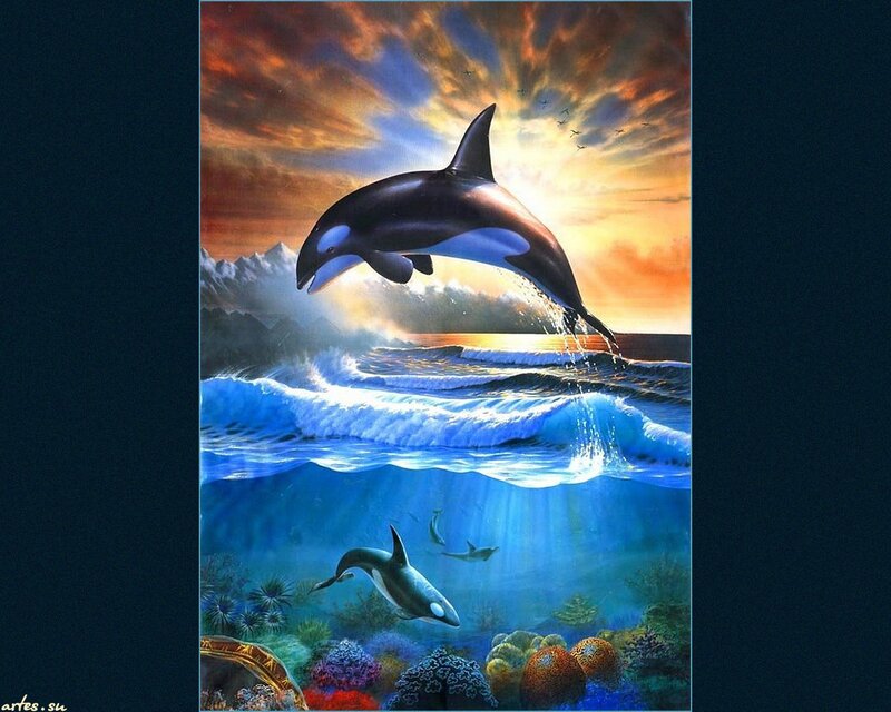 Killer Whale Jumping — Blue, Dramatic