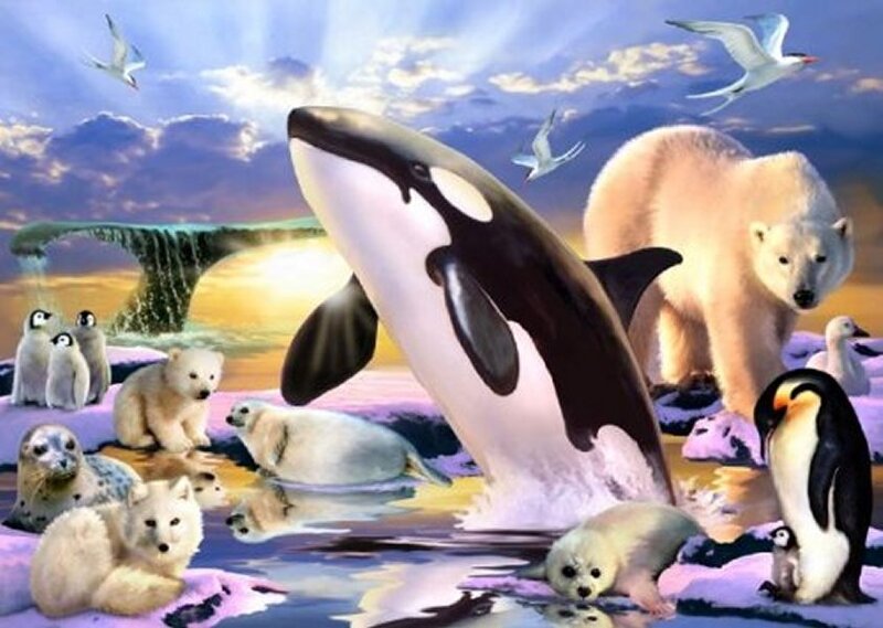 Killer Whale Jumping — Blue