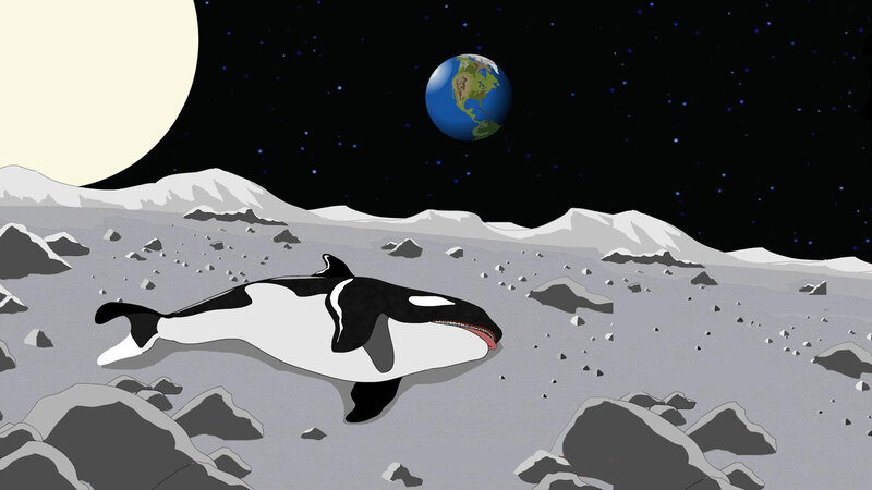 Killer Whale on Moon — Gray, Dramatic