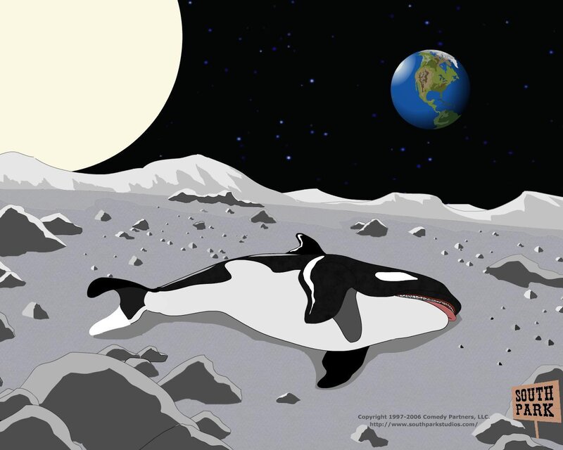 Killer Whale on Moon — Gray