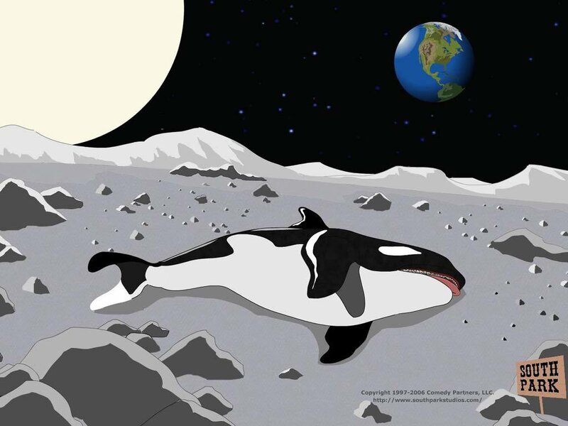 Killer Whale on Moon