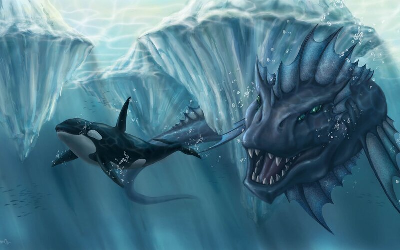 Killer Whale Vs Sea Dragon