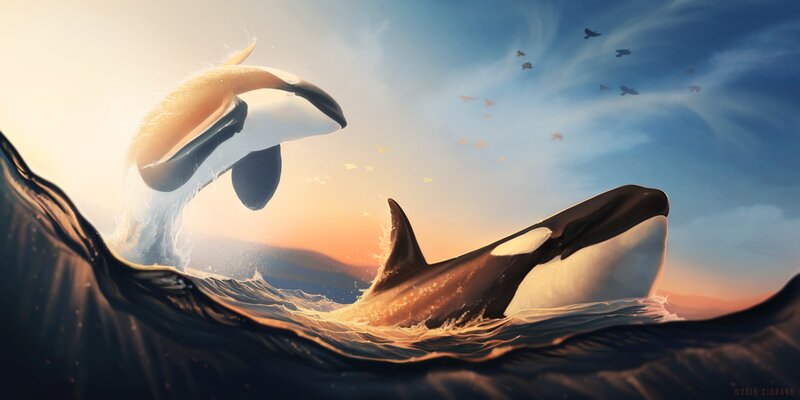 Killer Whales in Ocean — Blue, Dramatic, Sunset, Digital Art