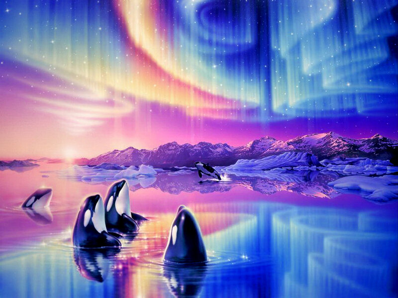 Killer Whales in Water — Blue, Serene