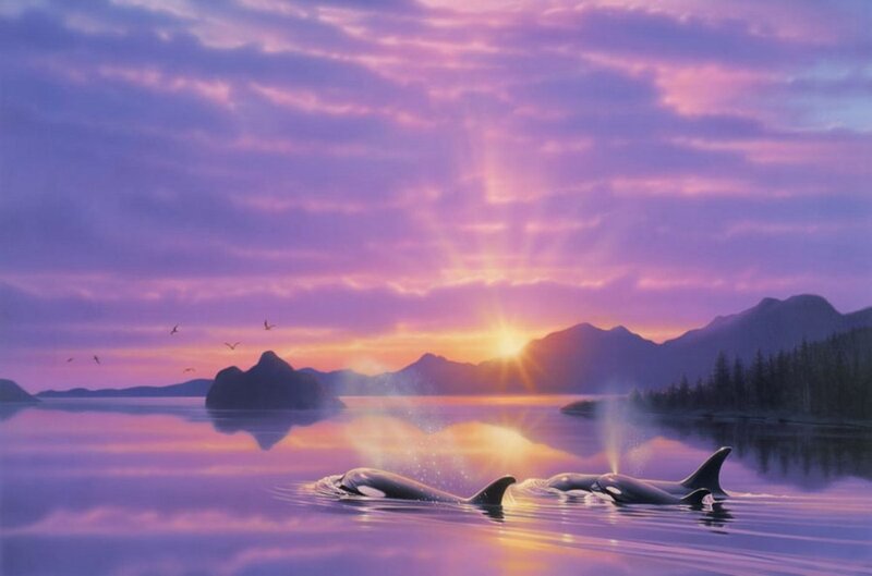 Killer Whales in Water — Purple