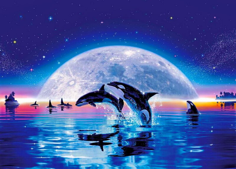 Killer Whales Jumping — Blue, Serene