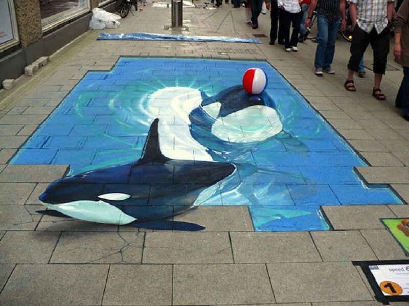 Killer Whales on Pavement